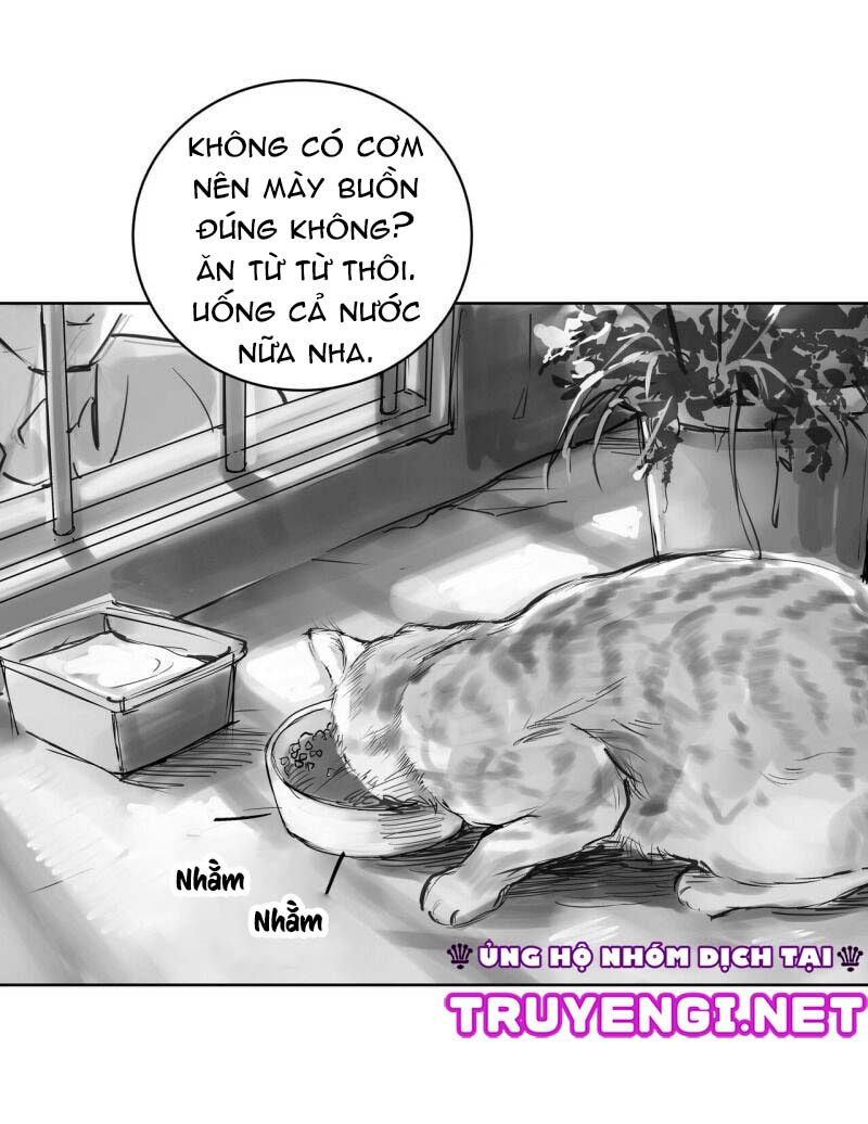 vật bị đánh mất chapter 13 13