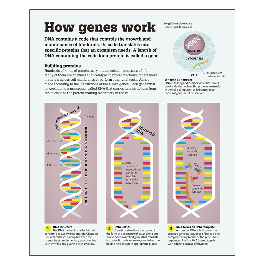 How Science Works