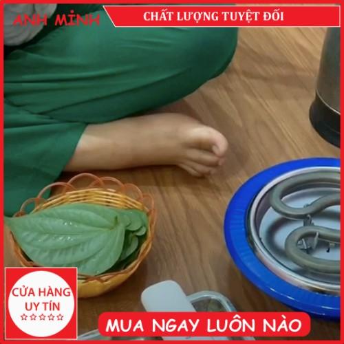 Bếp hơ lá trầu cho trẻ sơ sinh - Hữu Nghị - hàng chính hãng