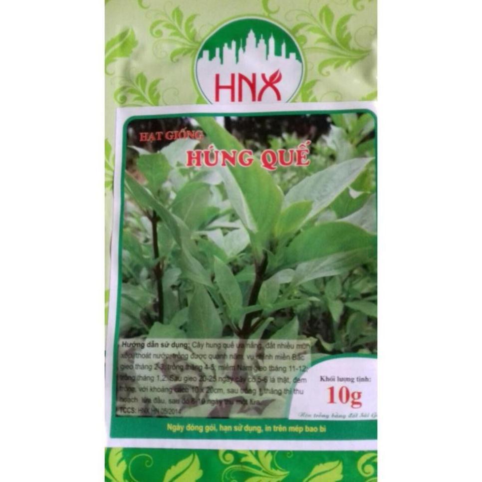 Hạt giống húng quế gói 10g