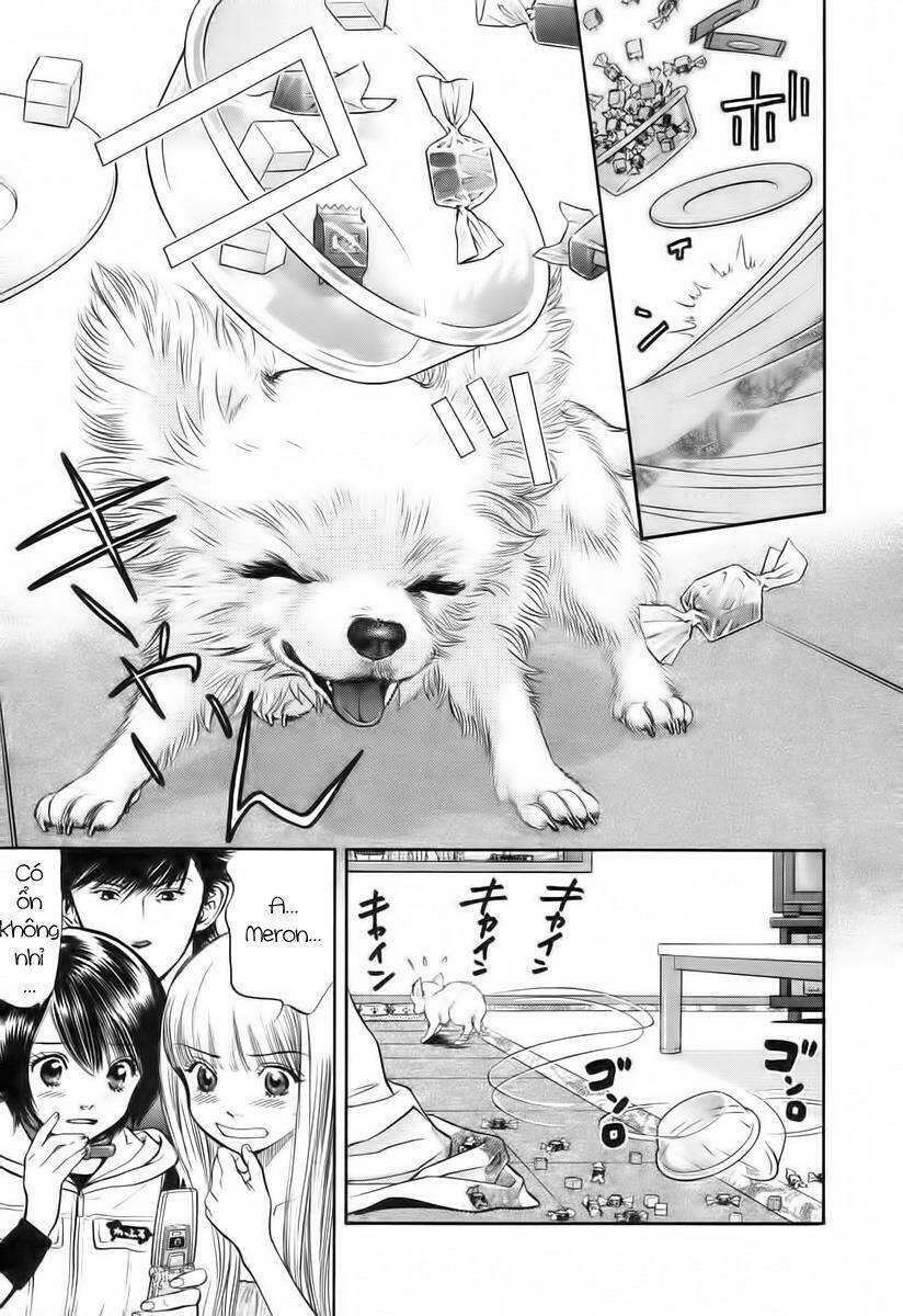 cô nàng yêu chó chapter 39 6