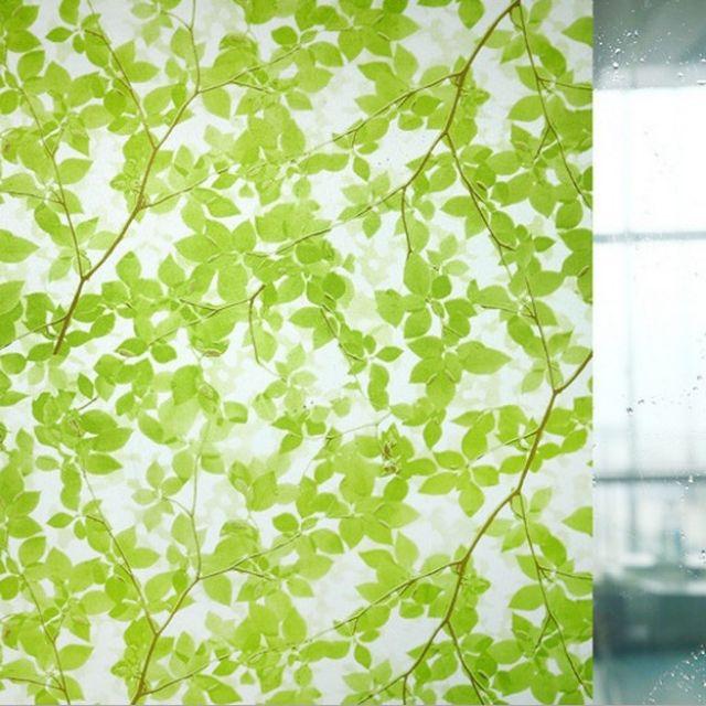 5m decal kính khổ 60cm. Mẫu lá xanh 2