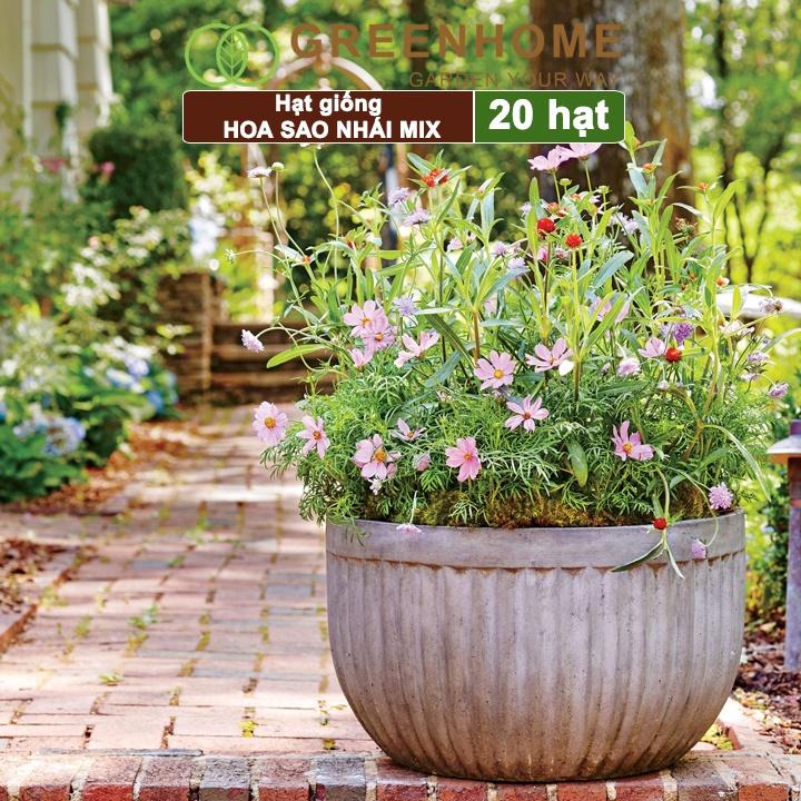 Hạt Giống Hoa Sao Nhái Mix Greenhome, Gói 0,3gr, Sai Hoa, Màu Rực Rỡ, Dễ Trồng Quanh Năm, Nảy Mầm Cao H02