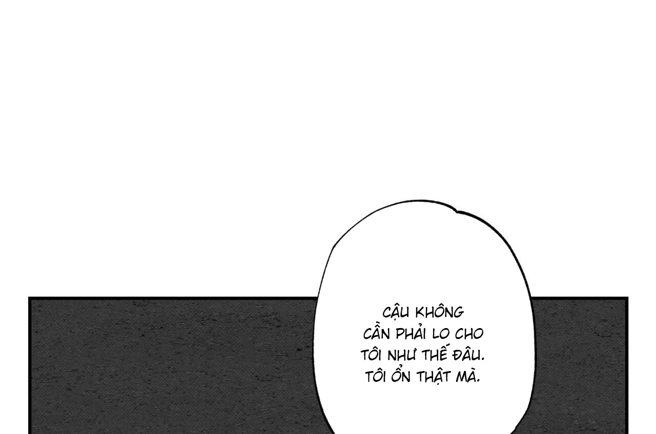 chàng giao pizza và gold palace chapter 39 47