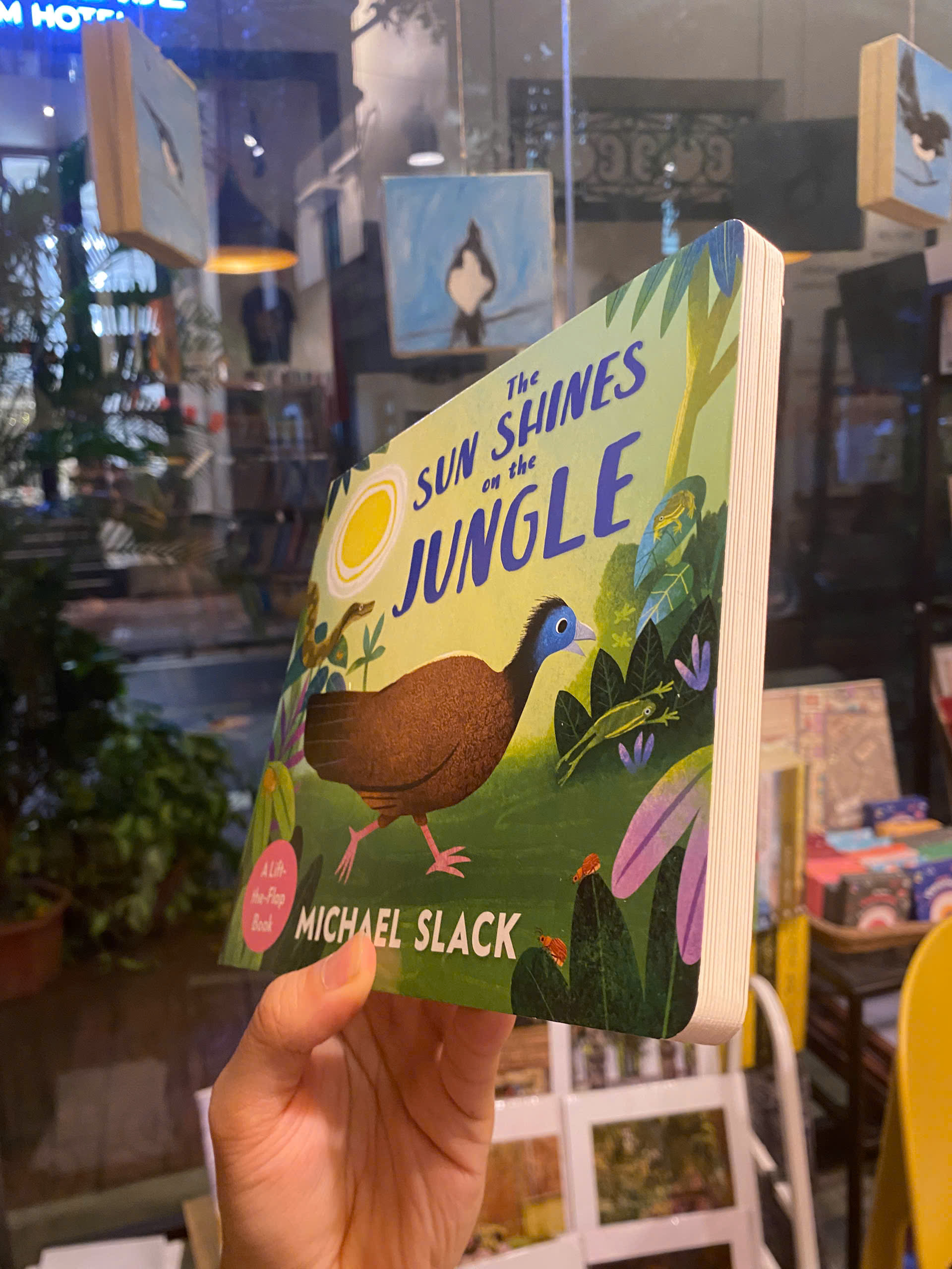 Sách - The Sun Shines on the Jungle by Michael Slack | English Children's Activity Picture Book