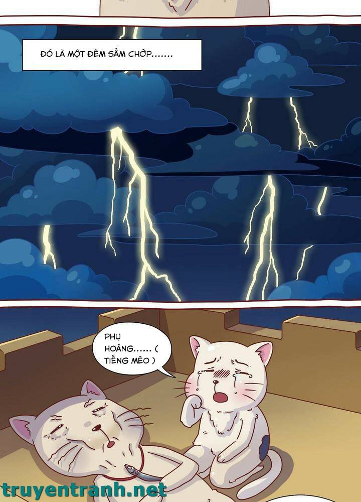 cây nấm kì khả chapter 8 3