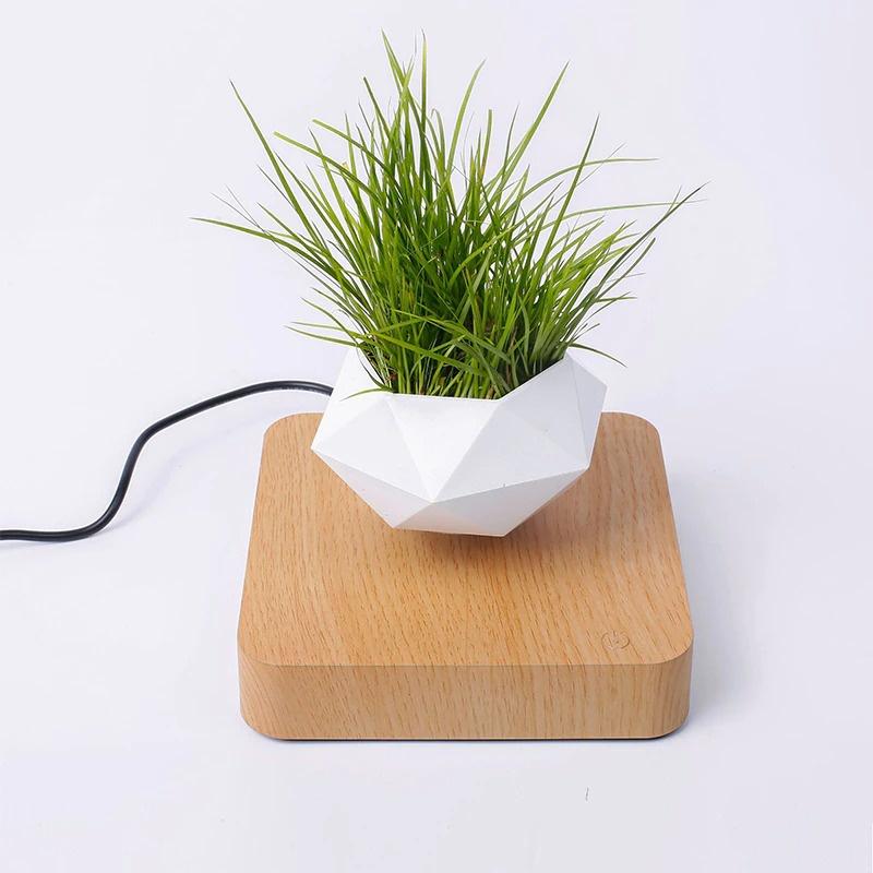 Chậu cây bay trang trí từ tính BonSai Bay Zero W Design