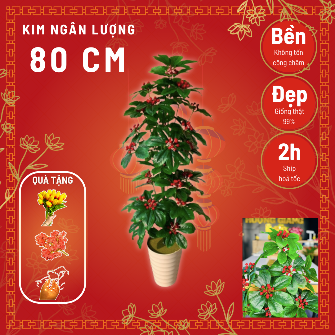 Cây kim ngân lượng, cây kim ngân lượng decor, cây ngân lượng giả trang trí, cây cheery 72cm (chưa bao gồm chậu)