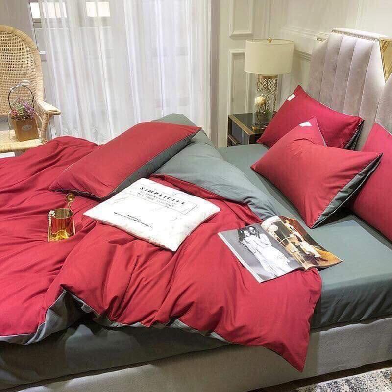 Bộ Set Chăn Ga Cotton Tici Cao Cấp Phong Cách Hàn Quốc Đủ Size Đủ Màu - Không Vỏ Ôm