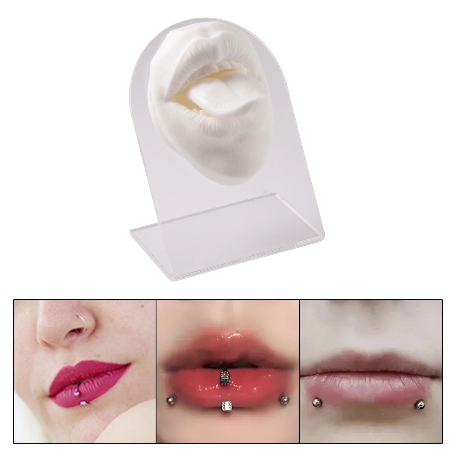 Silicone Mouth tongues Model Flexible Practice Tool Education Display