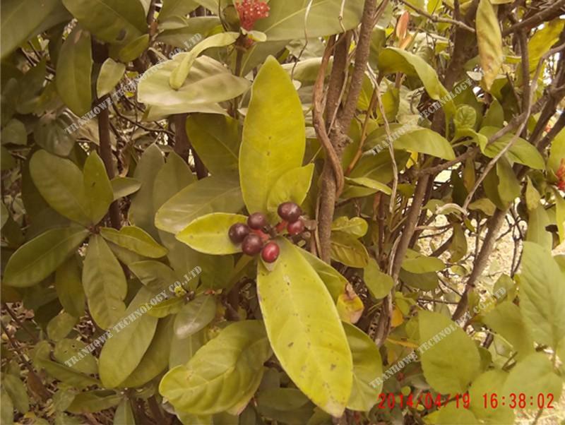 Miễn phí vận chuyển!!