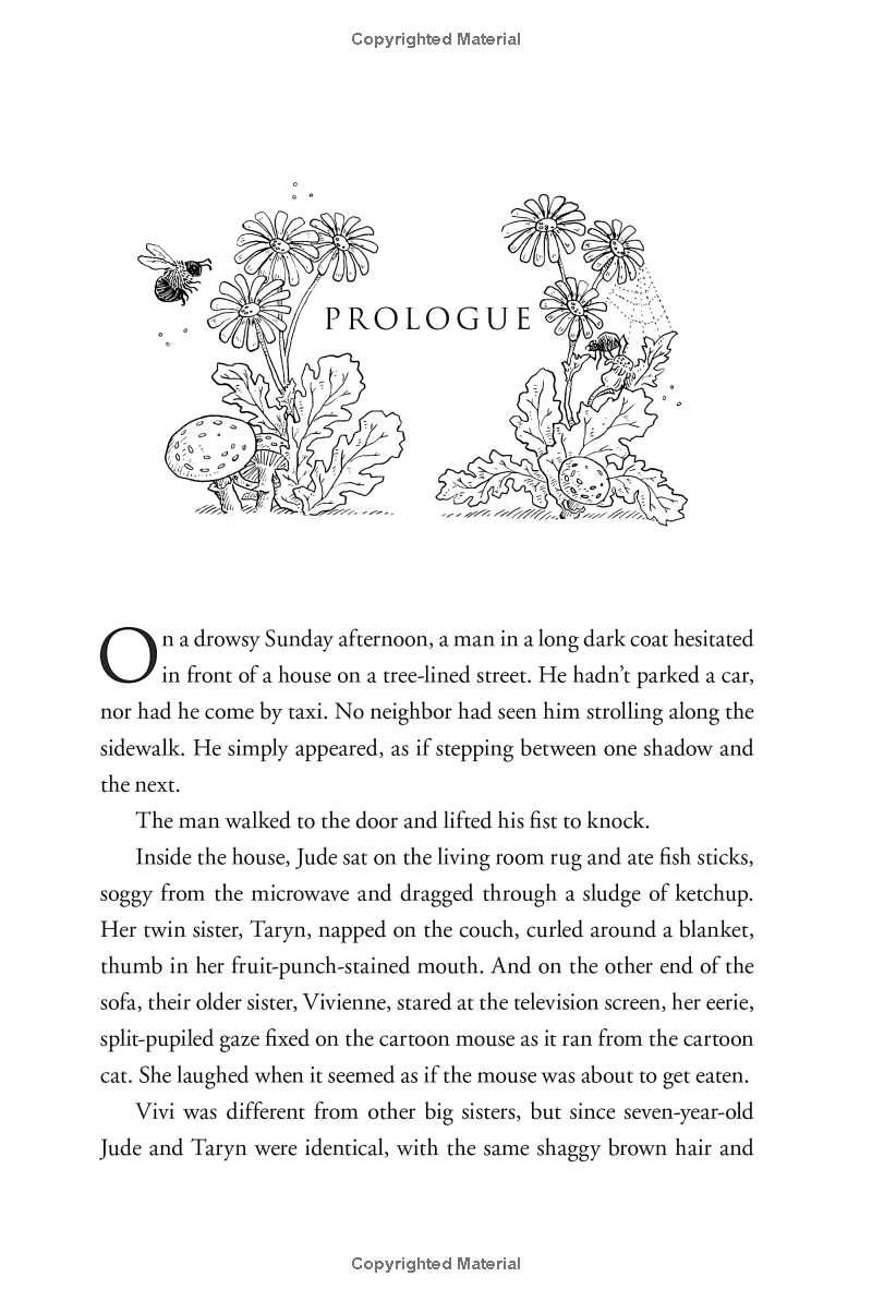 The Folk Of The Air 1: The Cruel Prince