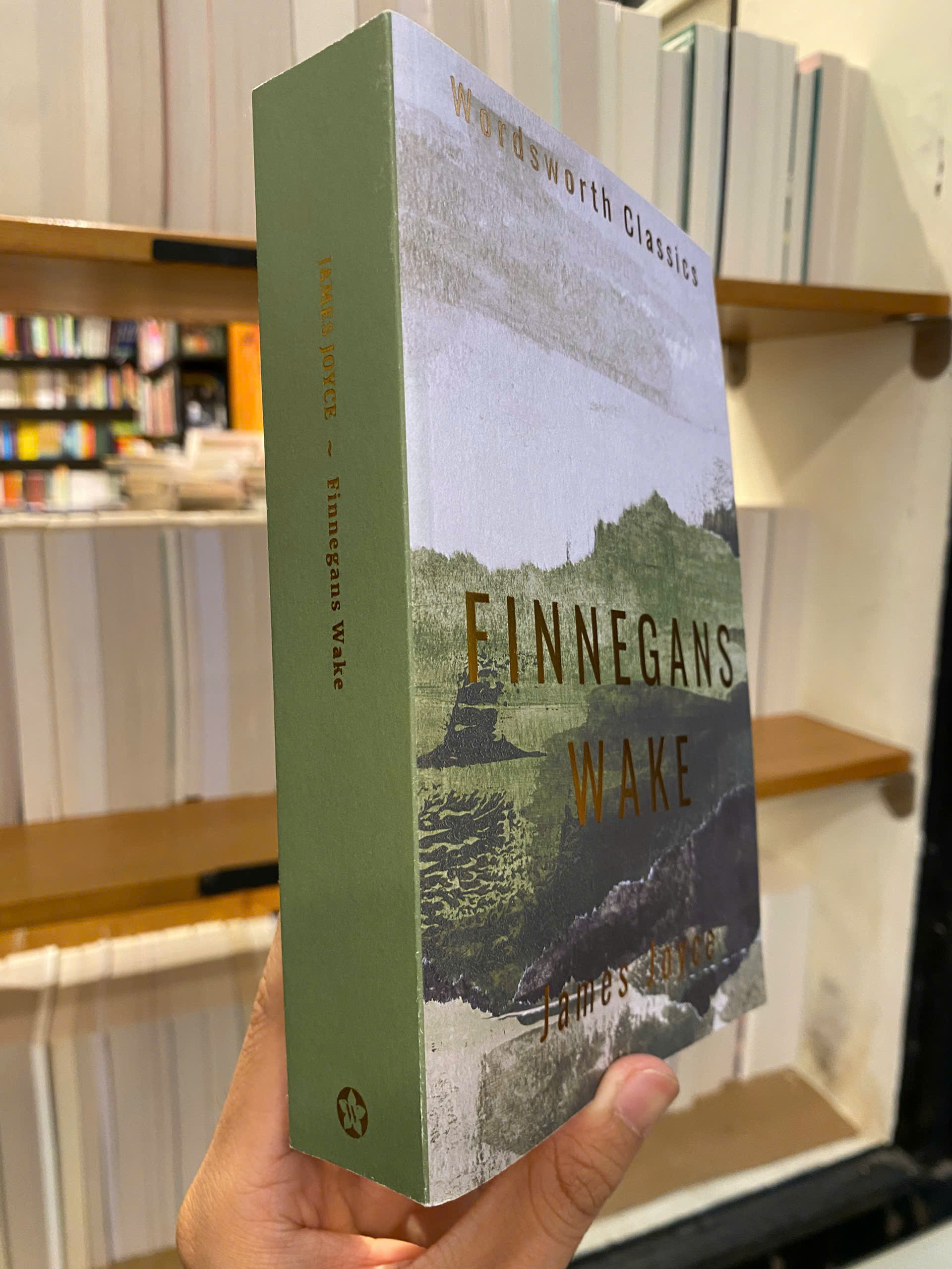 Sách - Finnegans Wake by James Joyce | Classic Literature / Ngoại văn Kinh điển Nhập khẩu
