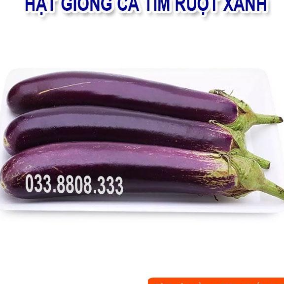 Hạt Giống Cà Tím Ruột Xanh Dài - Quả Dài Đặc Ruột