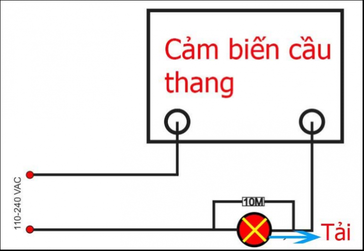 Module Cảm Biến Cầu Thang