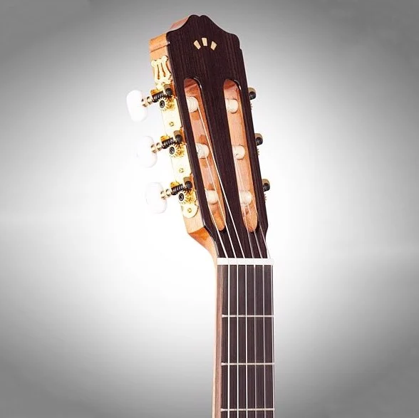 Đàn Guitar Classic Chuyên Nghiệp Cordoba C5-SP Thương Hiệu Tây Ban Nha ( Tặng Kèm Pick Holder và 3 Pick ) - Hàng Chính Hãng