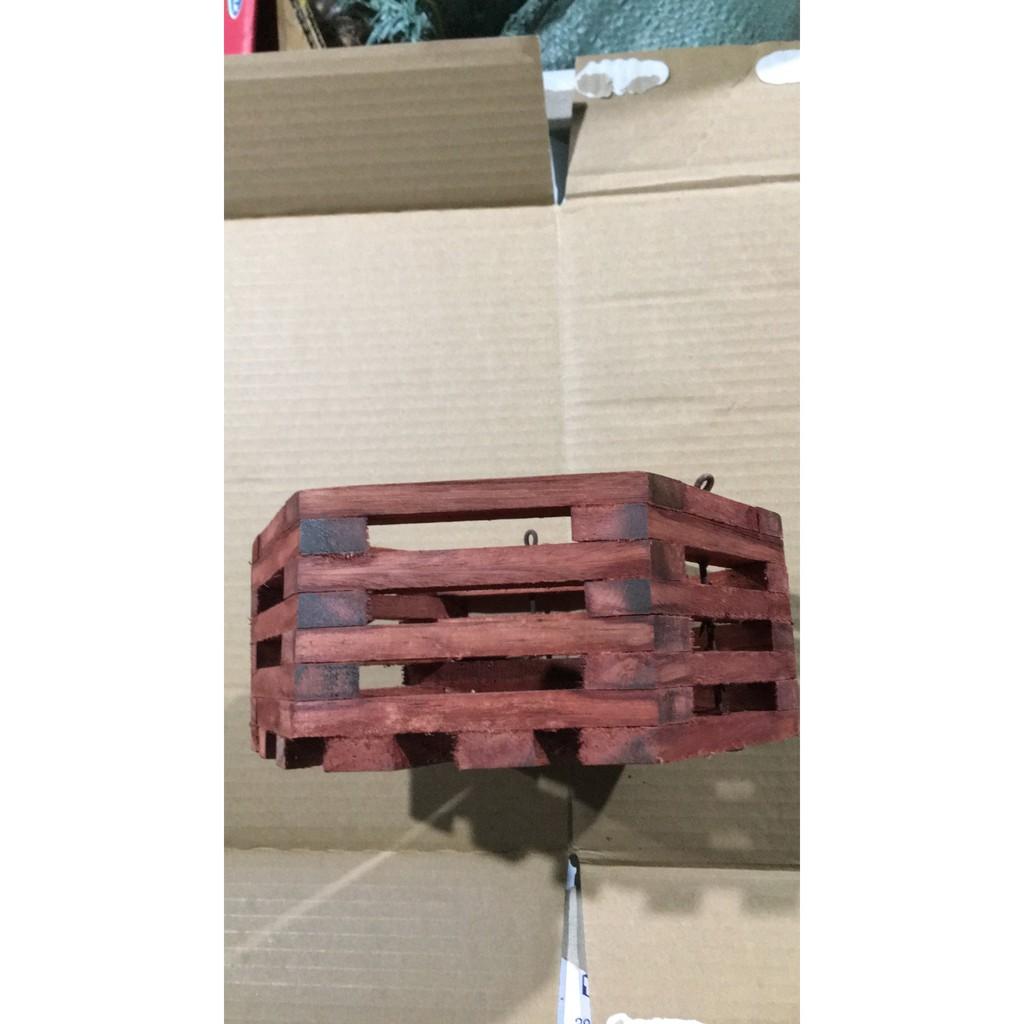 COM BO 2 chậu lục giác gỗ sao đỏ