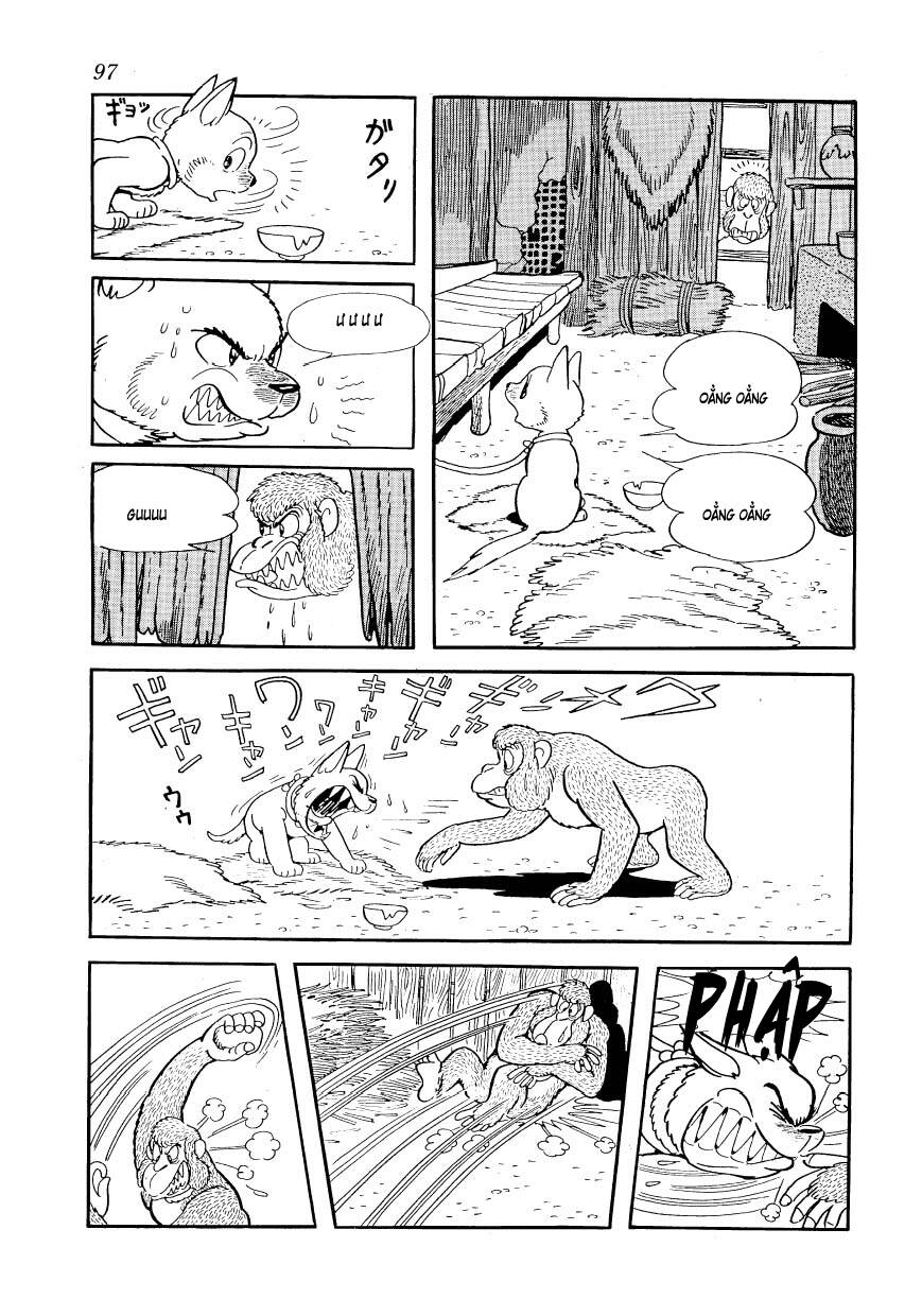 chim lửa chapter 80 15