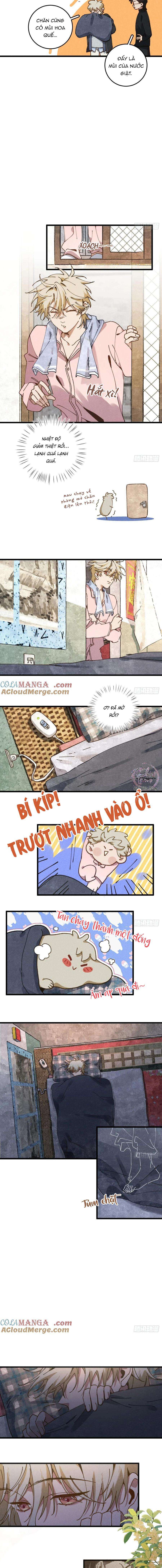 ra ruộng ngô với anh á, còn lâu! chapter 34 4