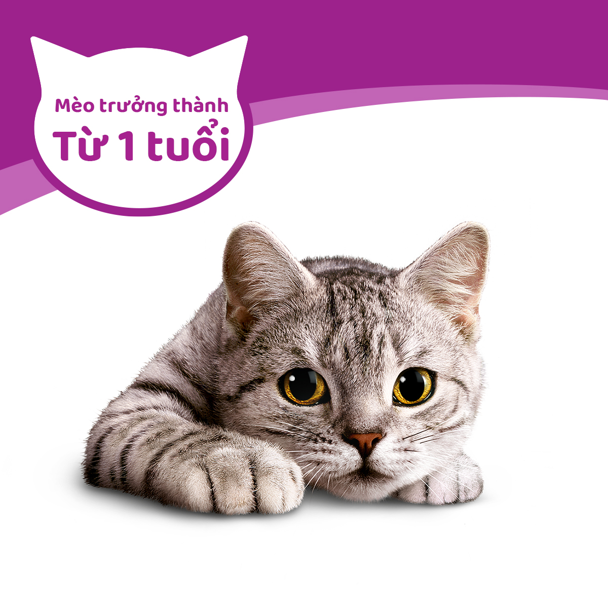 [Quà tặng không bán] WHISKAS Tasty Mix Thức ăn cho mèo trưởng thành dạng sốt  vị Gà, Cá hồi, và rong biển Wakam - 70g