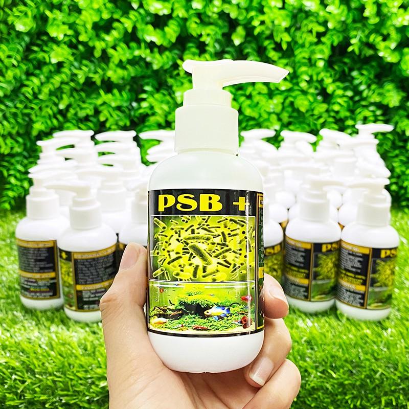 Vi Sinh PSB + Tăng 30% độ đậm đặc - Siêu làm trong nước