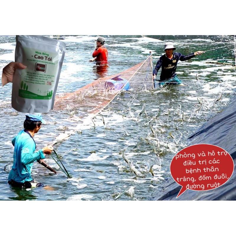Men sống cao tỏi 1kg