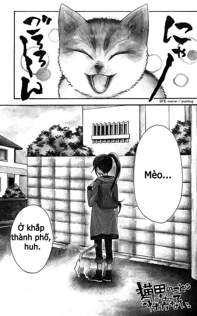 nekota no koto ga ki ni natte shikatanai chapter 1.1 8