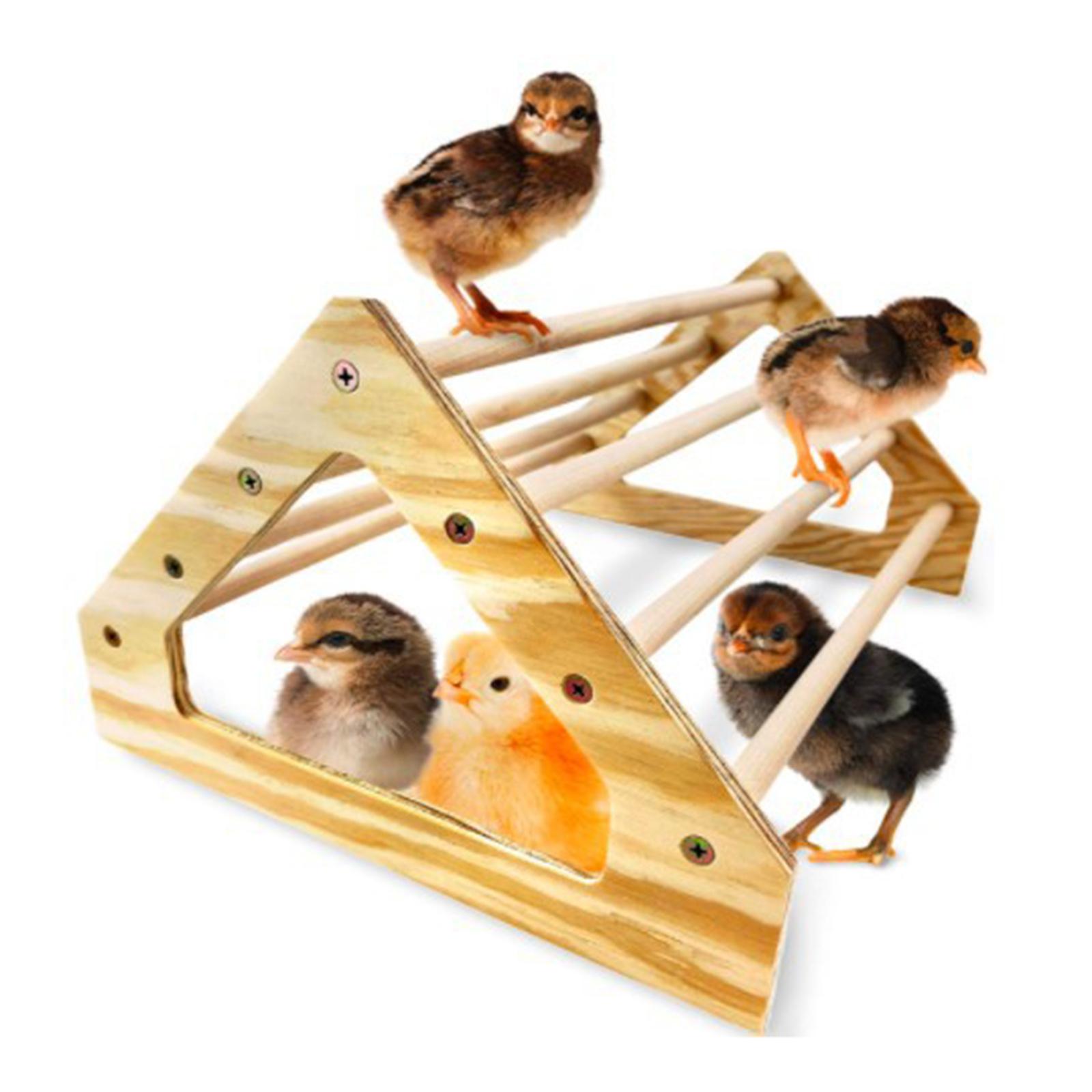 Wooden Parrot Bird Stand Tree Branch Hanging Toys Cage Perches Pet