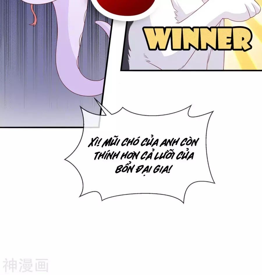 cuộc sống hào môn của vu nữ chapter 40 61