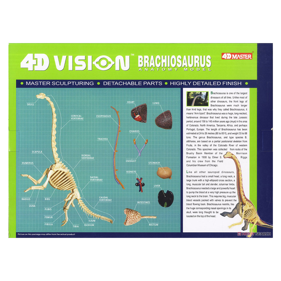 Đồ Chơi Mô Hình Giải Phẫu 4D - Khủng Long Brachiosaurus 4D Master 622015