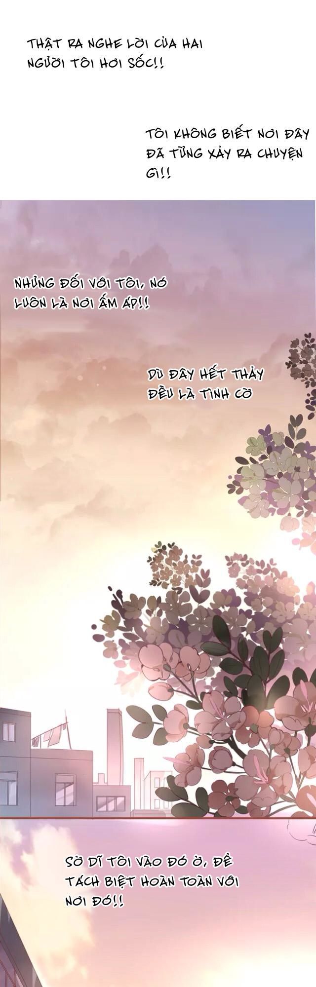 hoa hồng trên gai chapter 19 6