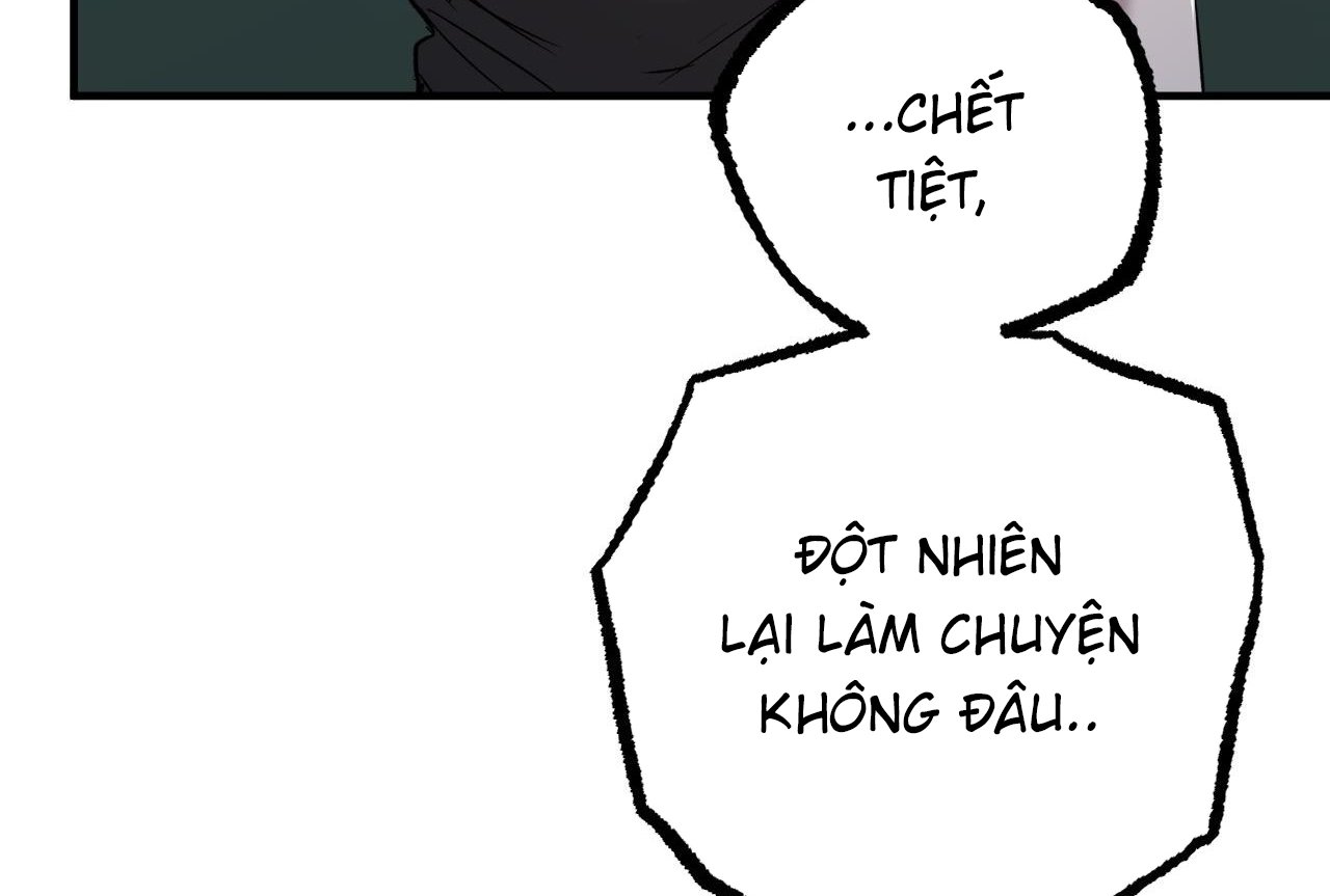 những chú thỏ của hapypy chapter 58 257