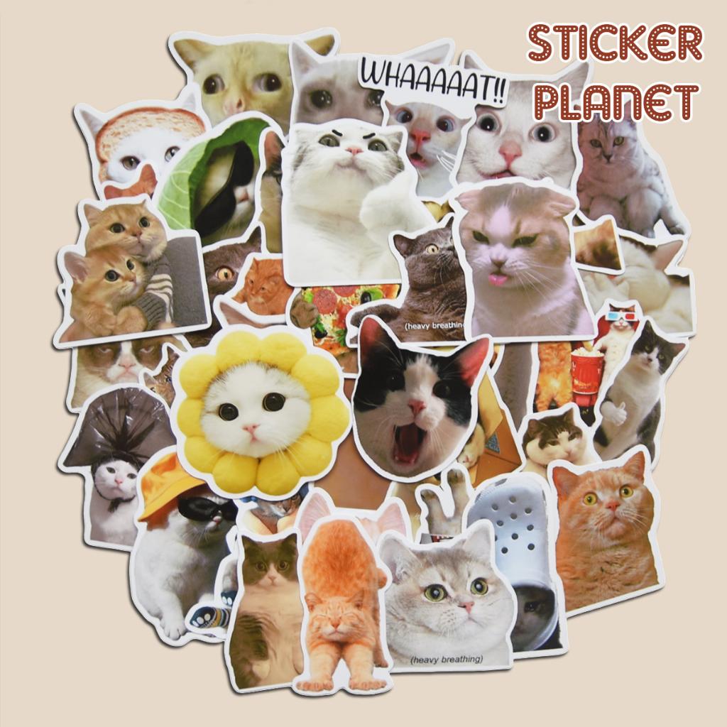 Sticker MEME MÈO hài hước nhãn dán trang trí mũ bảo hiểm, laptop, vali, ván trượt