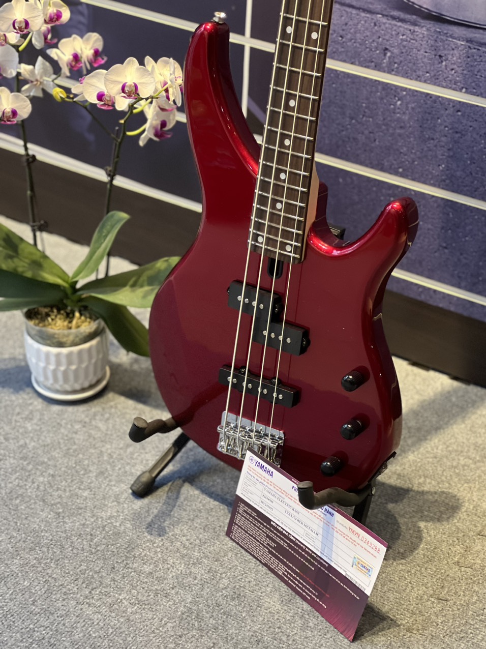 Đàn guitar bass điện Yamaha TRBX174-Hàng chính hãng