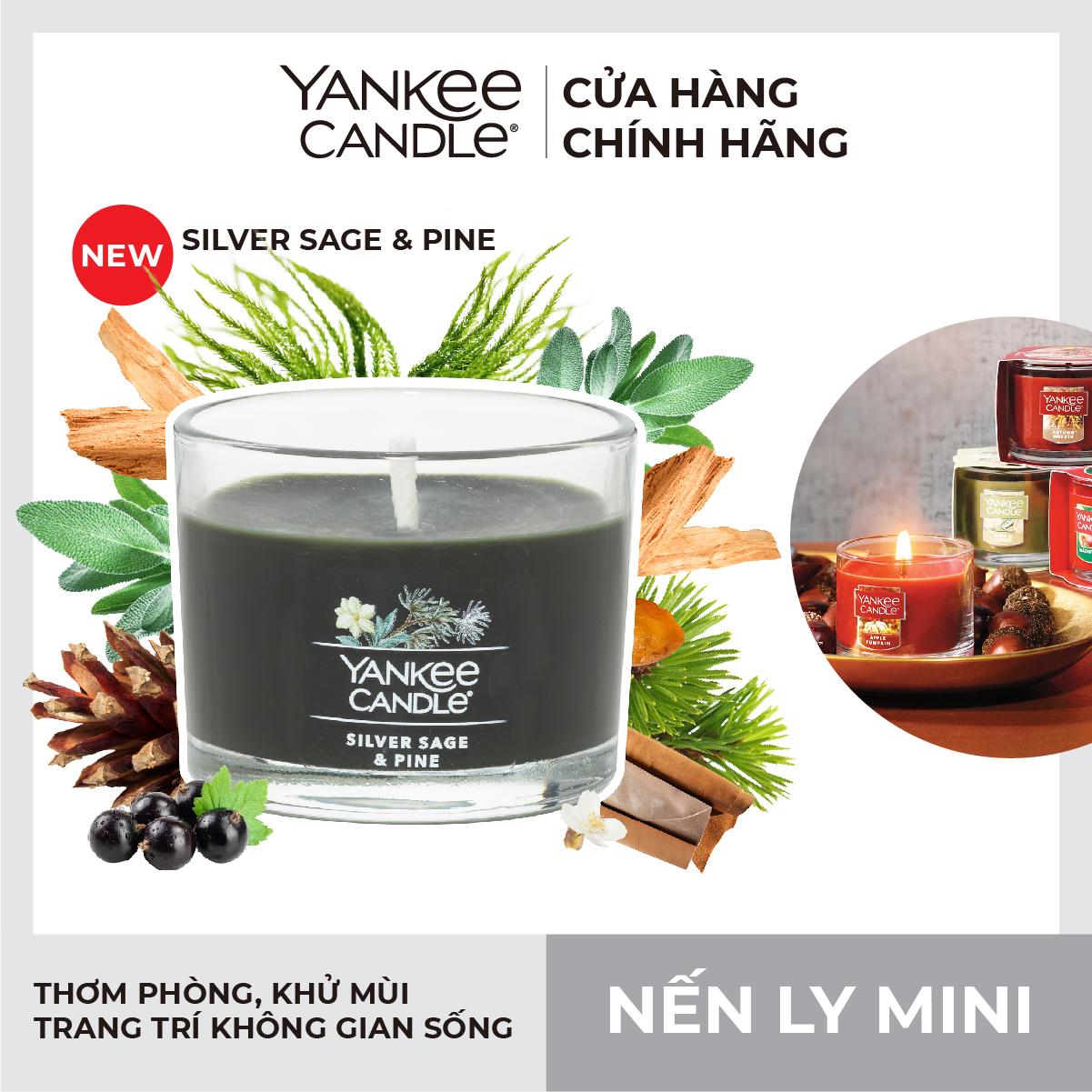 Nến ly mini Yankee Candle (37g) - Silver Sage &amp; Pine