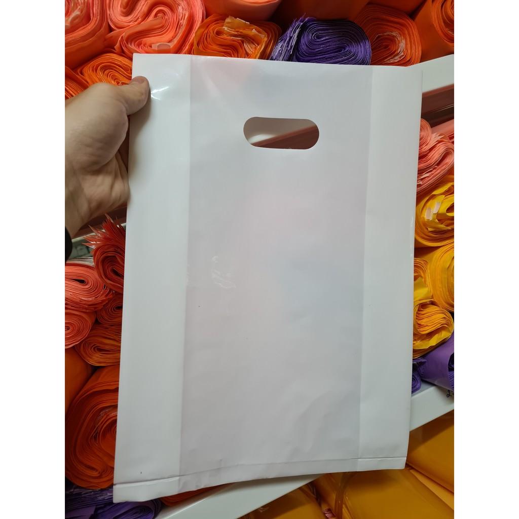 Túi Nilong Hột Xoài Pe Bóng Dẽo