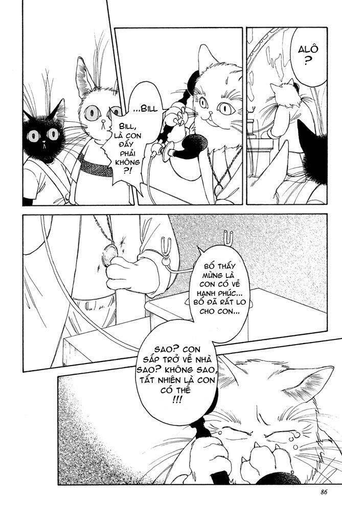 bernie's drawing diary chapter 3 17