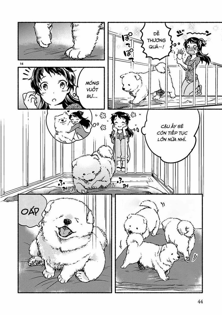 one-room wanko chapter 2 14