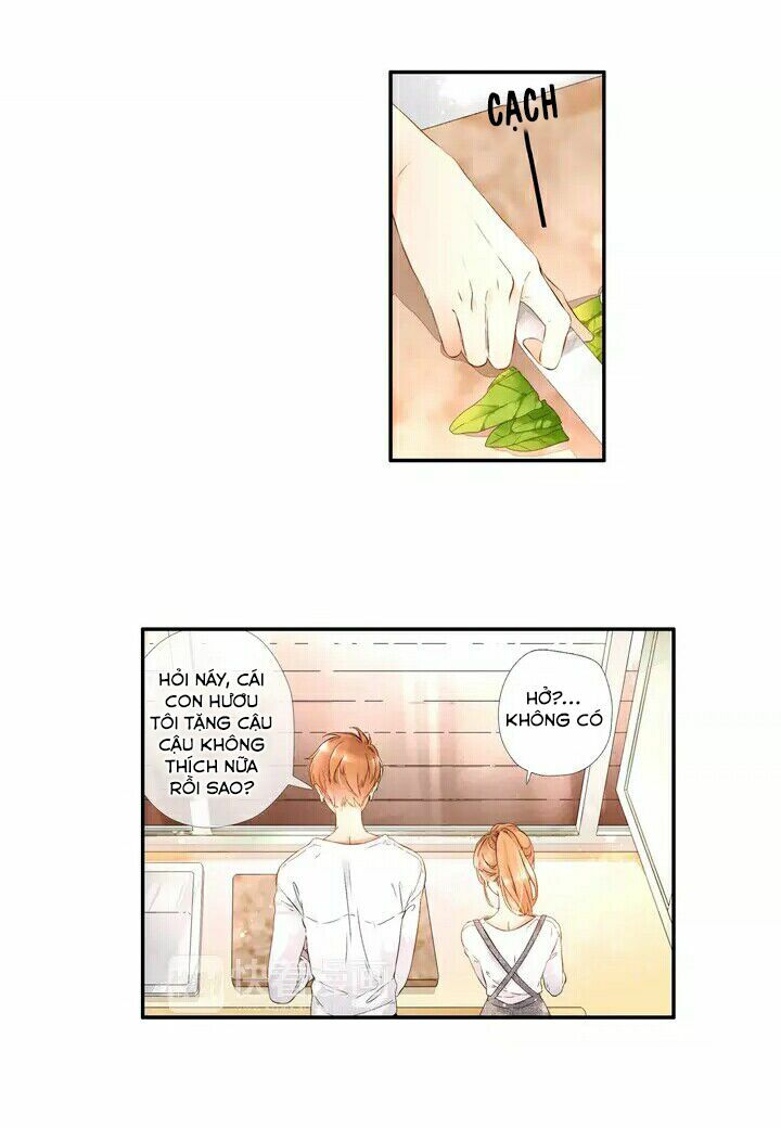 Tình yêu là màu hoa anh thảo chapter 19.5 26