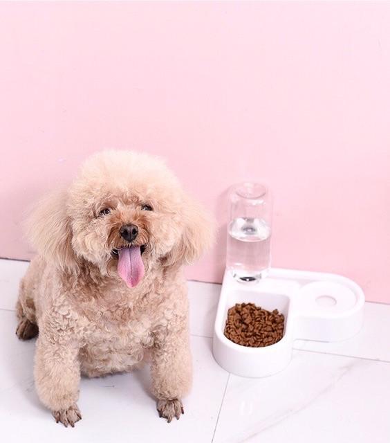 Bát ăn kết hợp bình uống tự động cho chó mèo