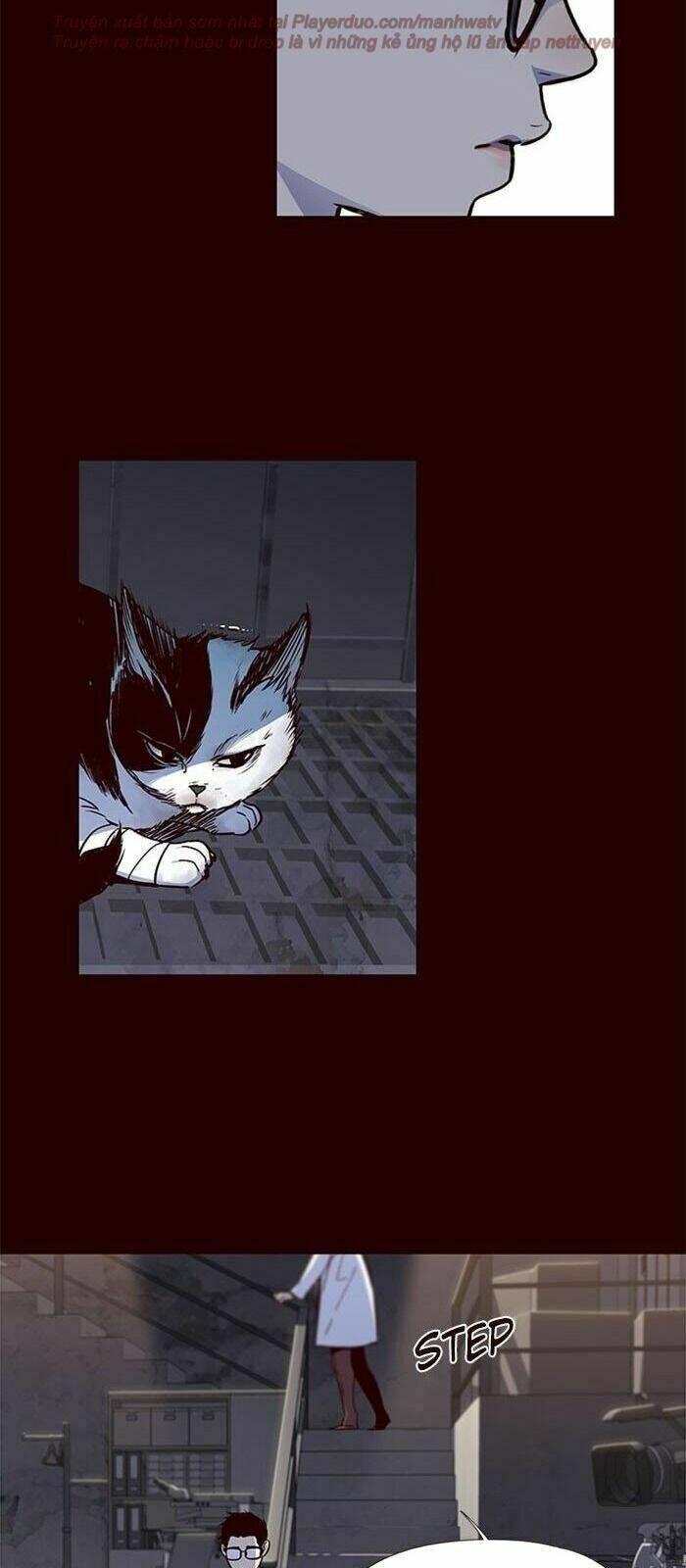 biến thân thành mèo chapter 36 22
