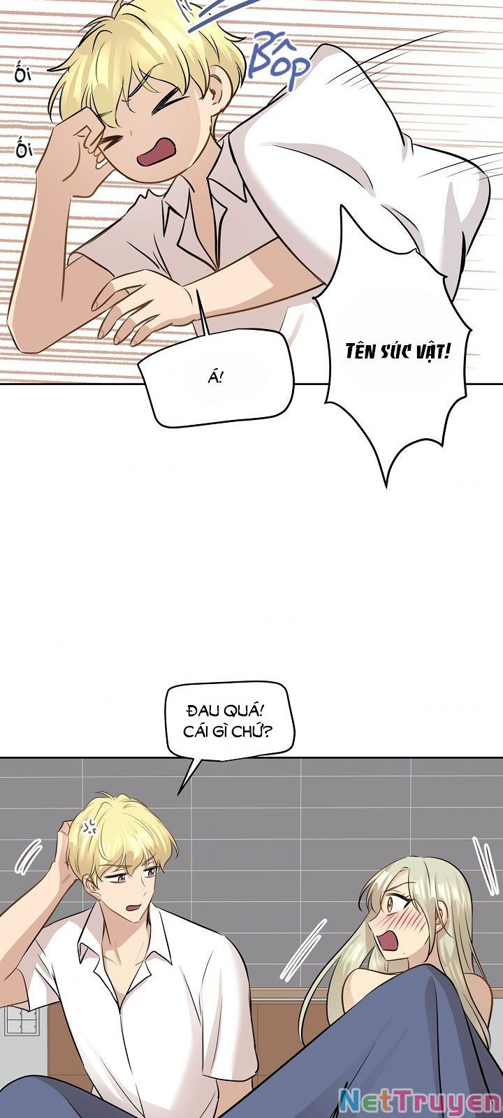 cuộc sống kỳ thú chapter 77 32