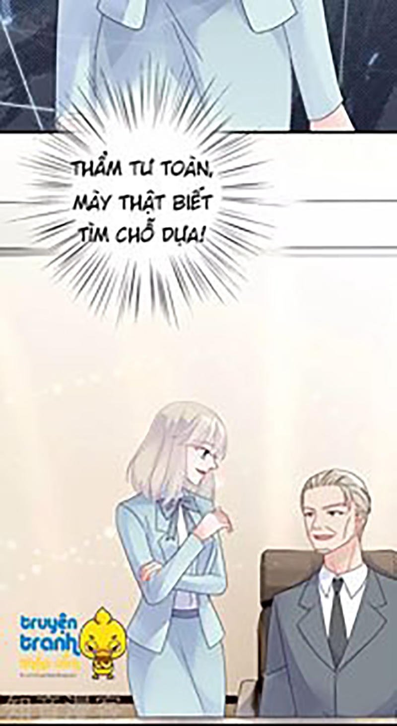 nhạ thượng thủ tịch tổng tài chapter 202 13