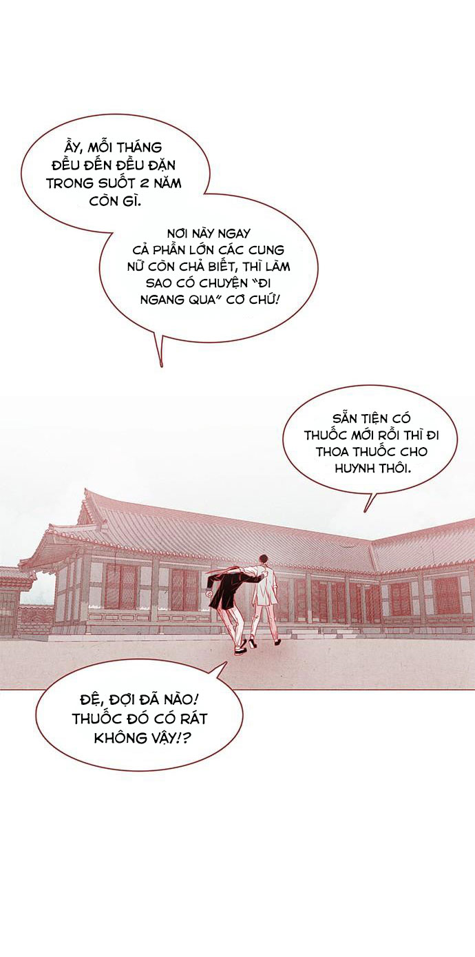 liệu rắn có ăn hoa chapter 4 11
