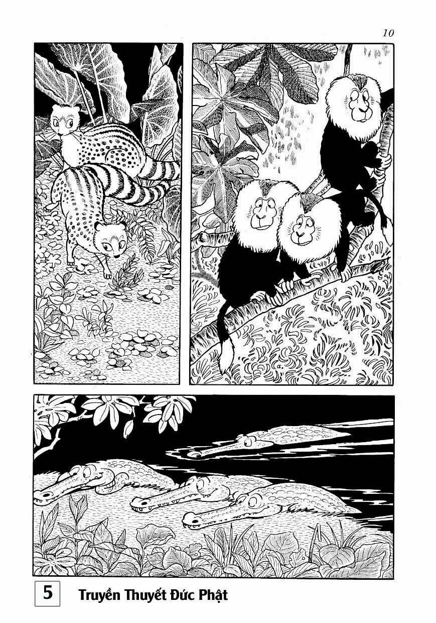 buddha - truyền thuyết đức phật chapter 23 10