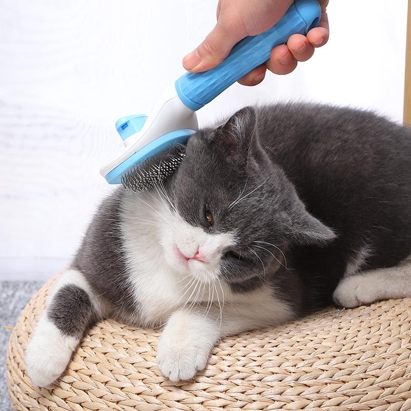 LƯỢC CHẢI LÔNG CAO CẤP CÓ NÚT ĐẨY LÔNG DƯ