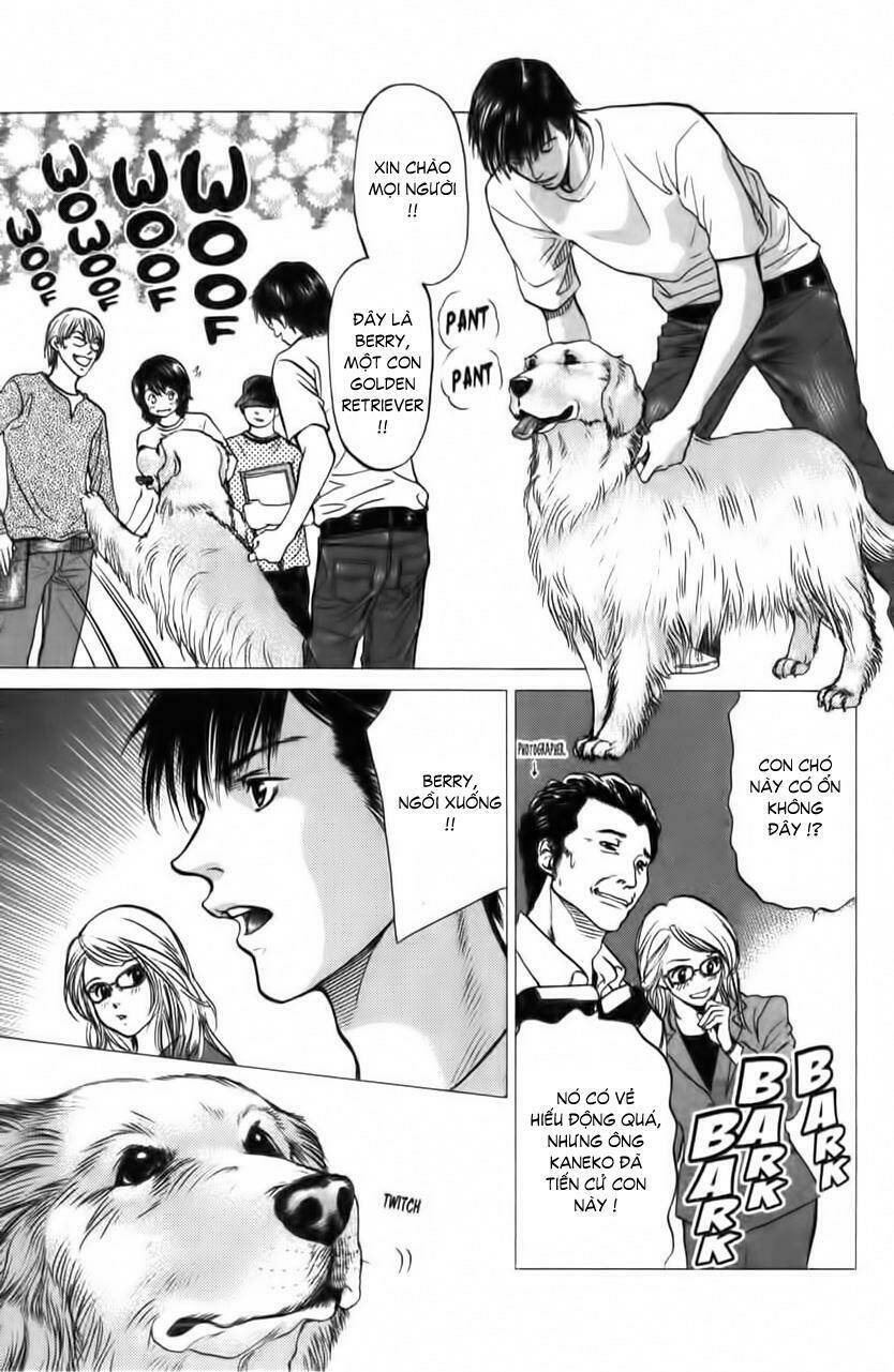 cô nàng yêu chó chapter 31 8