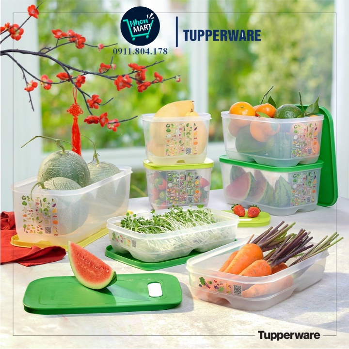 Bộ 7 Hộp Trữ Mát Có Nút Hô Hấp Ventsmart