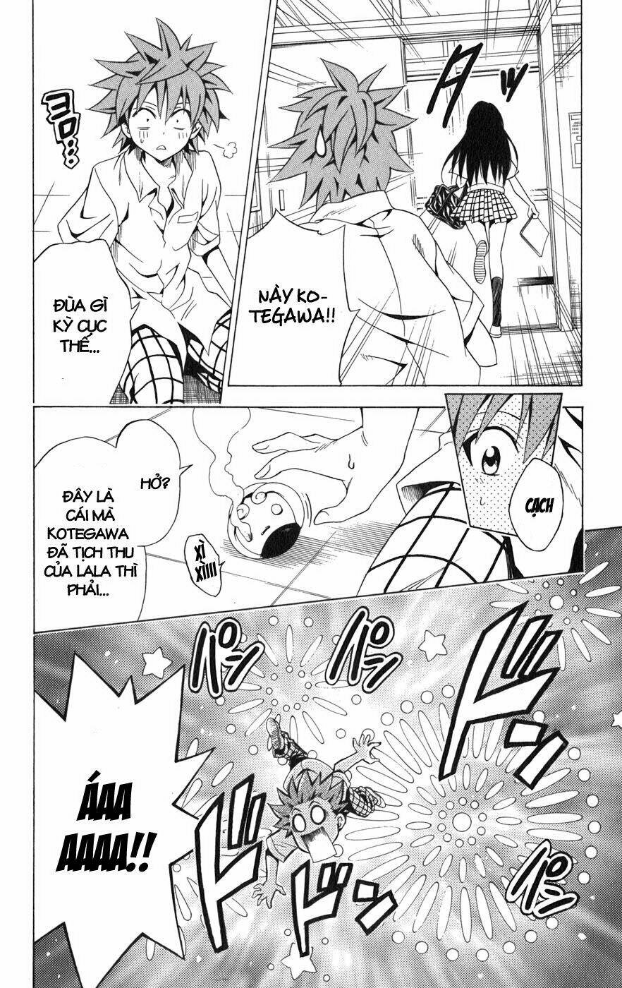 bọn tớ thích cậu! rito chapter 74 20