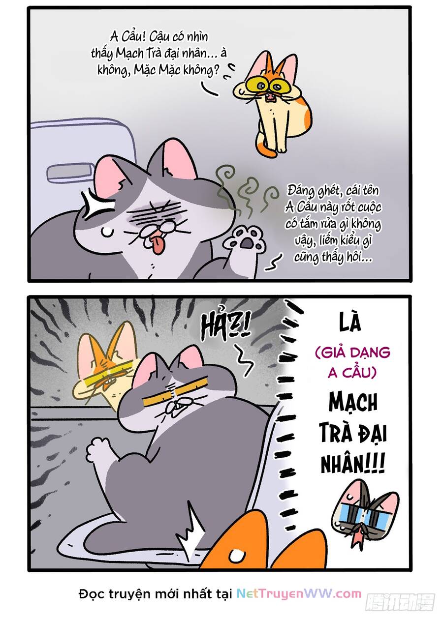 a mãn và mạch trà chapter 150.1 2